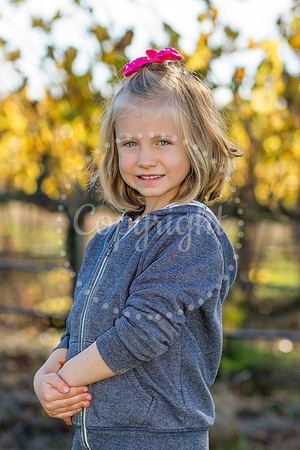 goldberg-mulberry-2