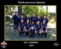 CeladonSponsor