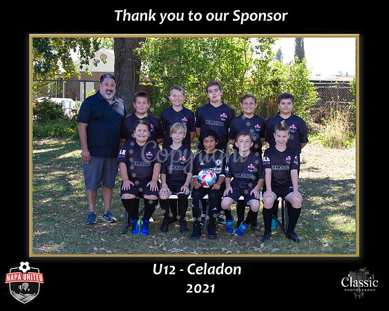 CeladonSponsor