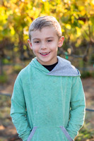 hamm-mulberry-1
