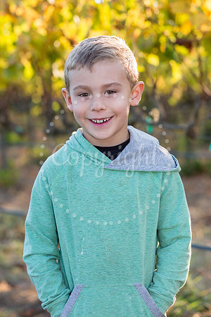 hamm-mulberry-1