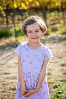 bollman-huckleberry-2