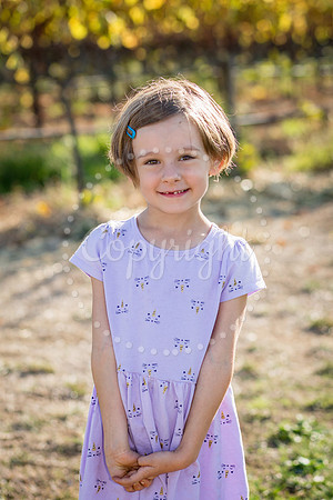 bollman-huckleberry-2