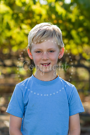potter-mulberry-1