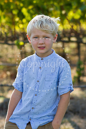 haycock-mulberry-2