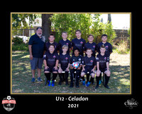 CeladonTeam