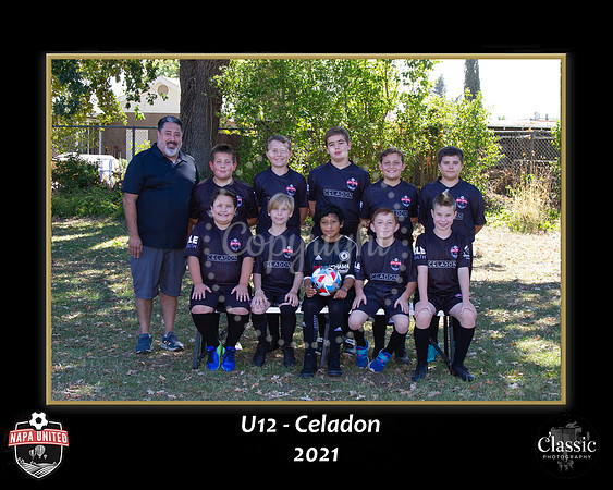 CeladonTeam
