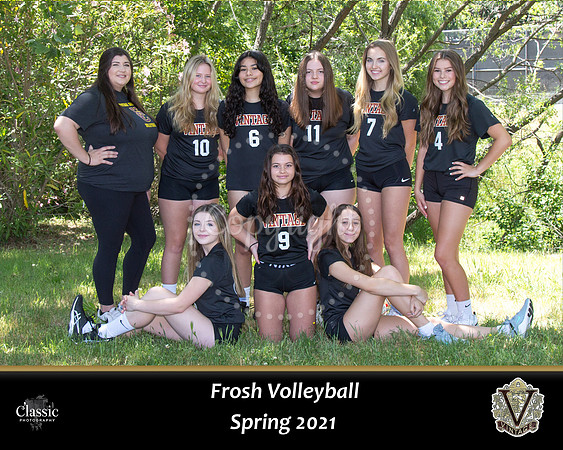 Froshteam