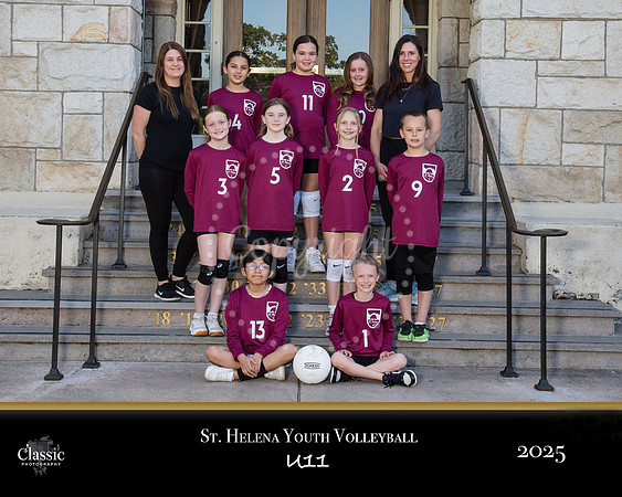volleyball copy