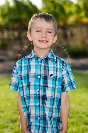bollman-huckleberry-3
