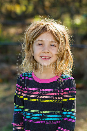 foster-mulberry-3