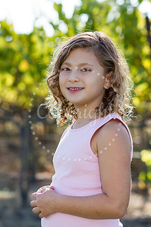 wasserman-huckleberry-2