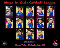 8-NV Ortho