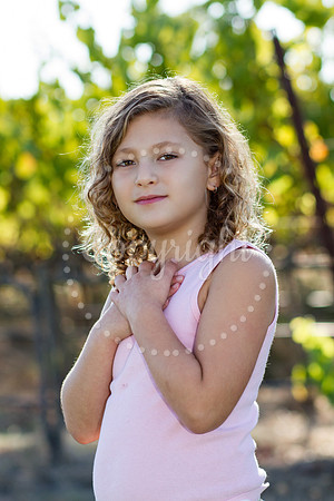 wasserman-huckleberry-3