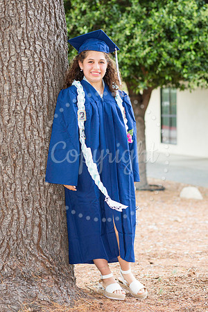 IMG_0259-Edit