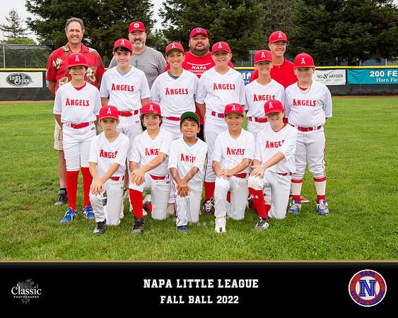 NV_templateNLL copy 2
