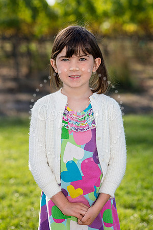 castellino-huckleberry-3