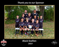 StallionSponsor