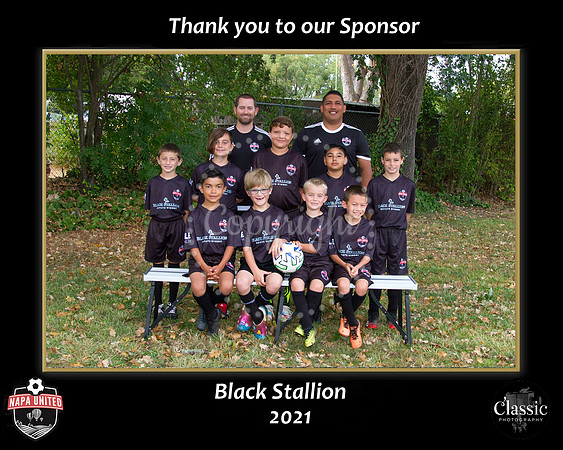 StallionSponsor