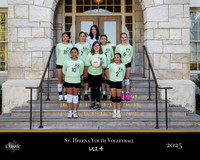 volleyball copy
