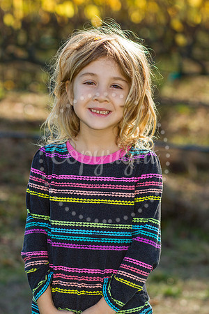foster-mulberry-2