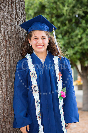 IMG_0261-Edit