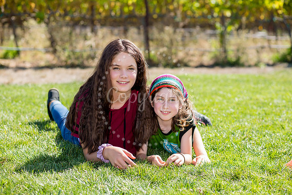 sibling_buddy-156