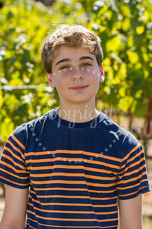 harvey-8th-1