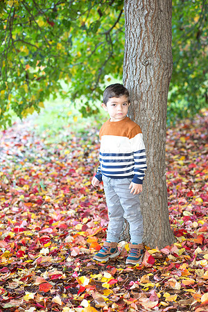 IMG_1221-Edit