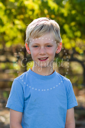 potter-mulberry-3