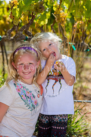 sibling_buddy-120