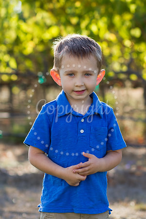 miller-huckleberry-2