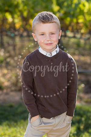 wright-mulberry-3