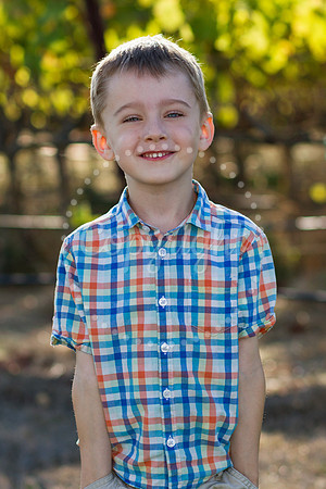 bollman-huckleberry-3