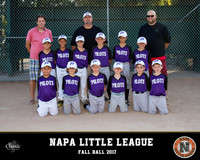 13-Portland Pilots
