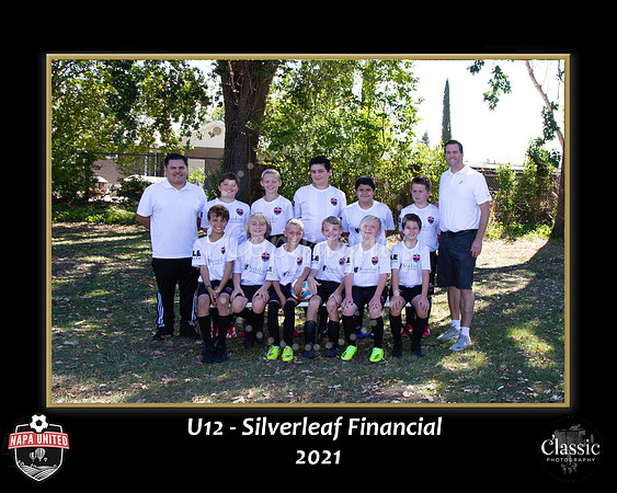 SilverleafTeam