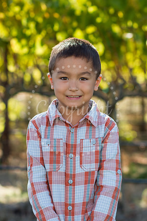 greeson-mulberry-1