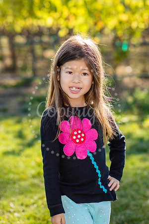 hurd-huckleberry-2