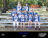 Blueteam