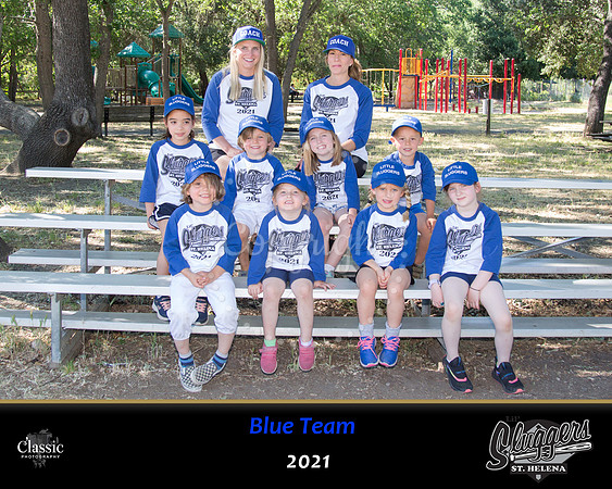 Blueteam