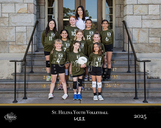 volleyball copy