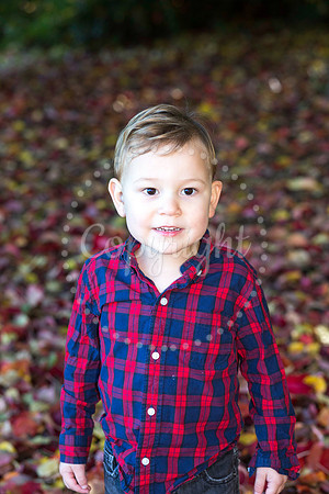 IMG_0082-Edit