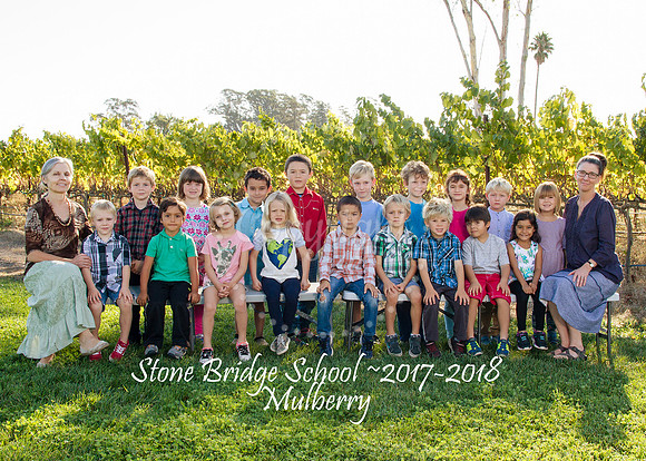 5x7class_mulberry