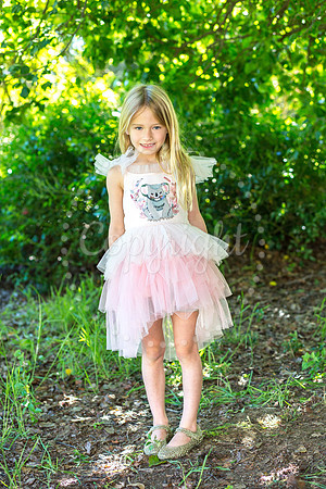 IMG_0242pp2