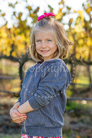 goldberg-mulberry-1