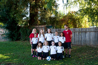 9315U10BlkStallion