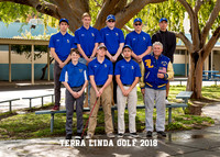6574EditGolf copy