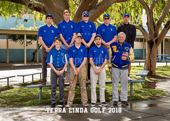 6574EditGolf copy