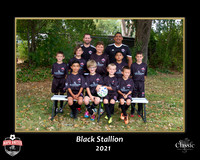 StallionTeam