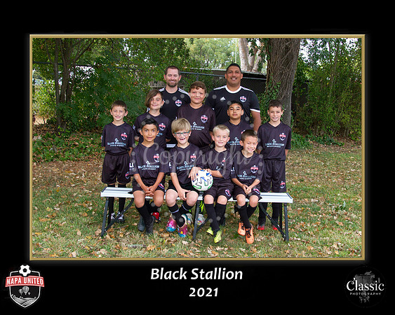 StallionTeam